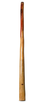 Tristan O'Meara Didgeridoo (TM426)